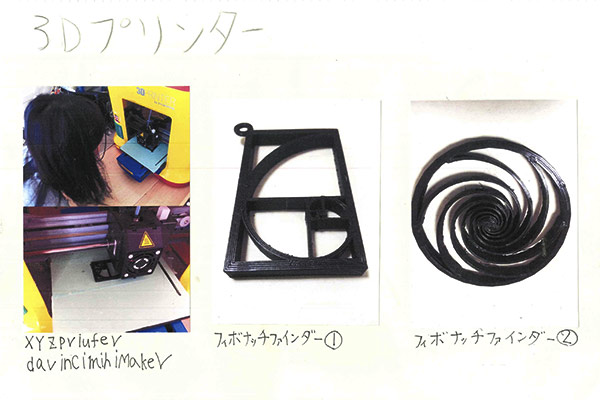 2017年ファブ３Dコンテスト特別賞受賞作品「フィボナッチを探せ！」の報告資料より抜粋