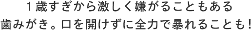 1歳すぎから激しく嫌がることもある歯みがき。口を開けずに全力で暴れることも!