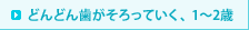 どんどん歯がそろっていく、1～2歳