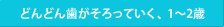 どんどん歯がそろっていく、1～2歳