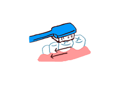 奥歯の溝をみがく