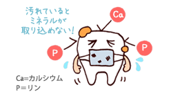 汚れているとミネラルが取りこめない！