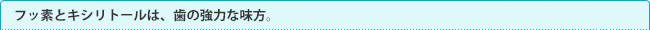 フッ素とキシリトールは、歯の強力な味方。