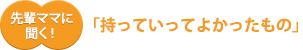 先輩ママに聞く!「持っていってよかったもの」