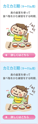 カミカミ期（9～11ヵ月頃）