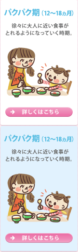 パクパク期（12～18ヵ月）