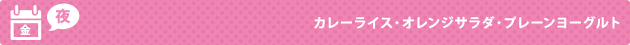 金（夜） カレーライス・オレンジサラダ・プレーンヨーグルト