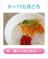 9～11ヵ月ごろ