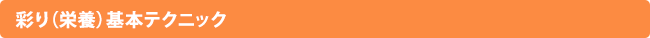彩り（栄養）基本テクニック