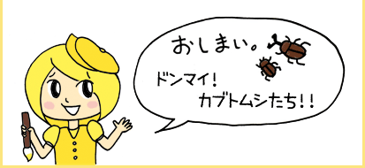 おしまい。ドンマイ！カブトムシたち！！