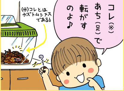 子ども「コレ（カブトムシメス）、あち（足）で転がすのよ♪