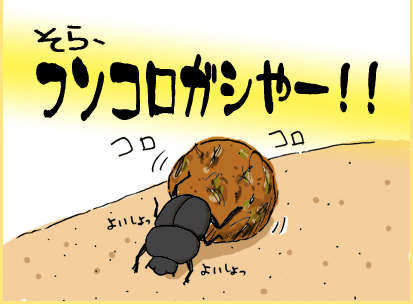 そら、フンコロガシやー！！