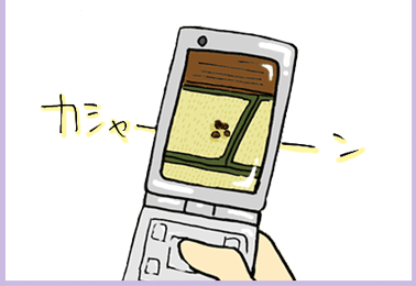 （カシャーン）