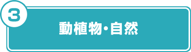 動植物・自然