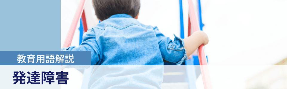 教育用語解説|発達障害