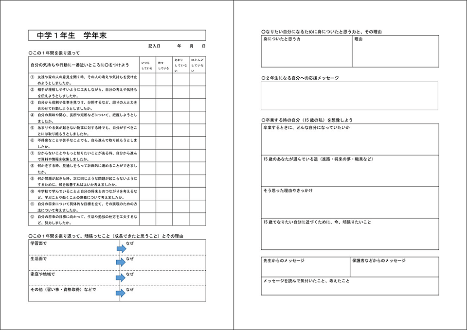 キャリアパスポートの書式の例