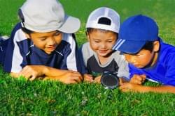 苦労した自由研究も、周囲からの反応で「やってよかった」と達成感