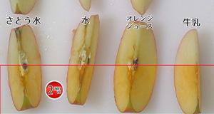 【動画で確認しよう！】