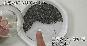 【動画で確認しよう！】
