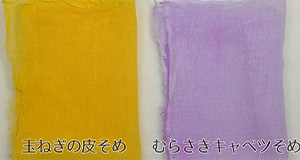 【動画で確認しよう！】