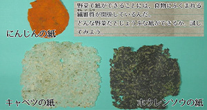 【動画で確認しよう！】