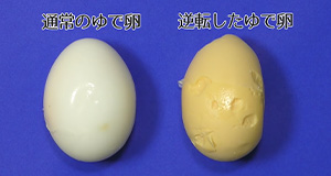 【動画で確認しよう！】