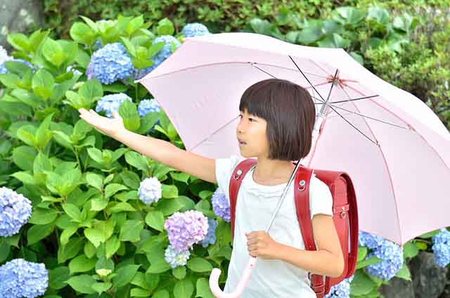 手作り雨量計で気象データをまとめる