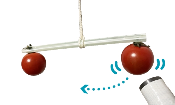 磁石（じしゃく）から逃（に）げるトマト