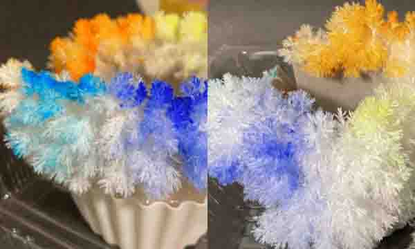 もこもこ尿素の結晶を作ろう！