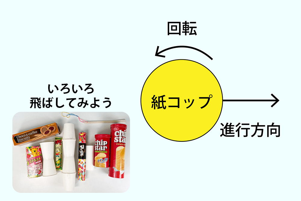 飛び方を観察して、表にまとめる