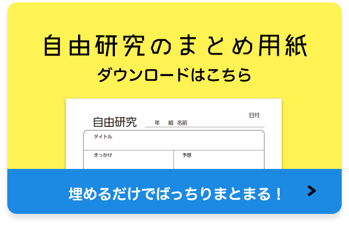 自由研究のまとめ用紙 ダウンロードはこちら