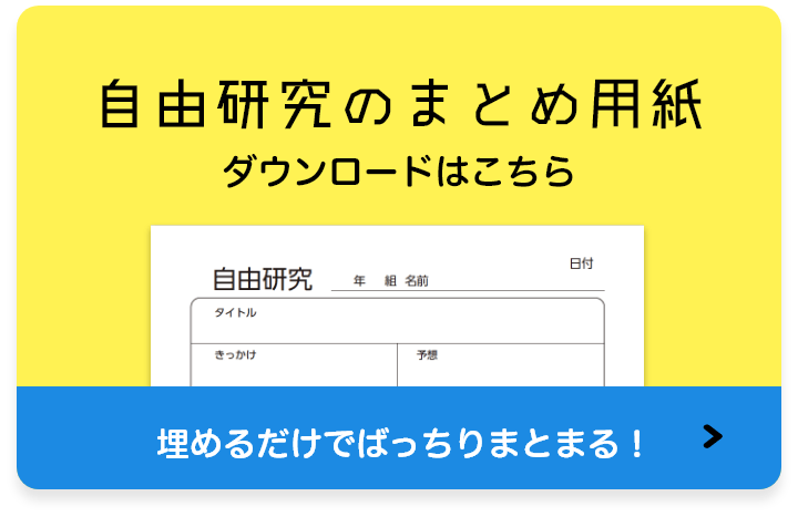 自由研究のまとめ用紙 ダウンロードはこちら
