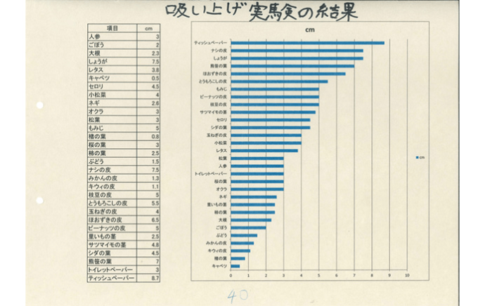 『紙漉実験Ⅱ』