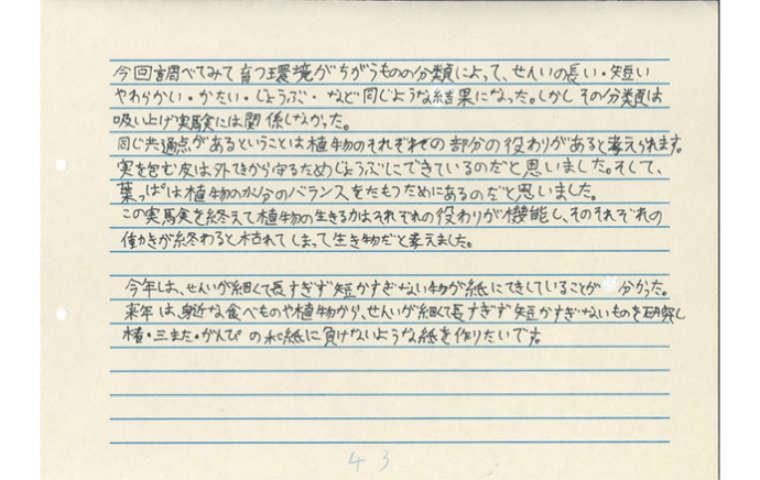 『紙漉実験Ⅱ』