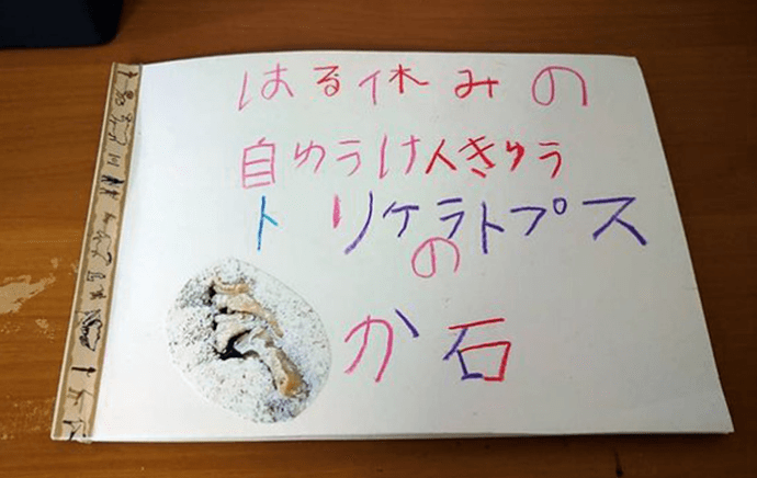 『トリケラトプスのか石』