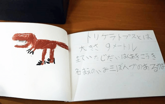 『トリケラトプスのか石』