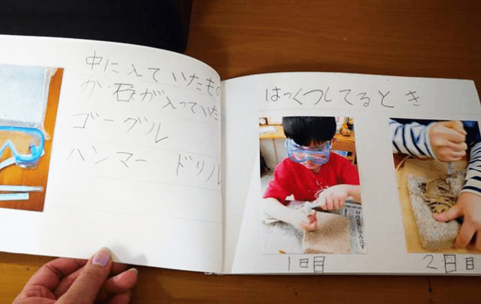 『トリケラトプスのか石』