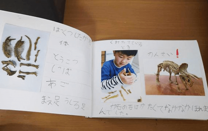 『トリケラトプスのか石』