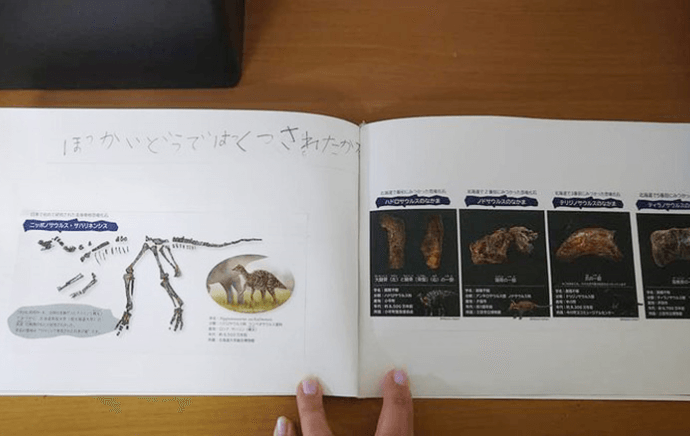 『トリケラトプスのか石』