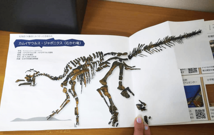 『トリケラトプスのか石』