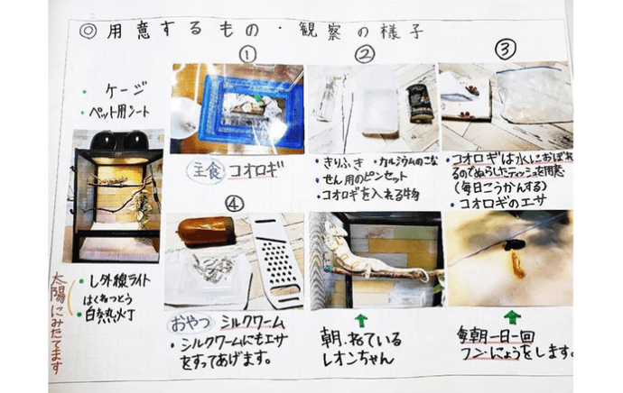 『カメレオンのレオン』