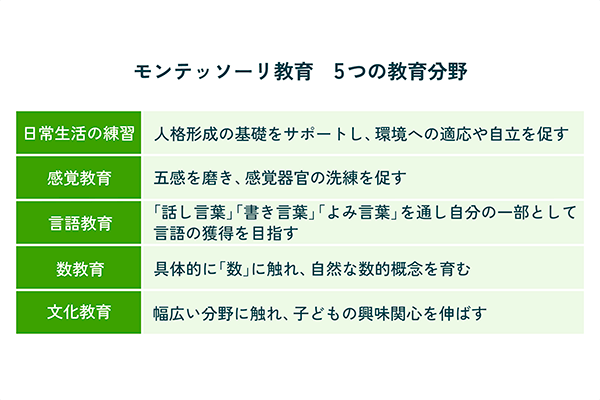 モンテッソーリ教育　5つの教育分野