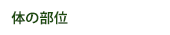 体の部位