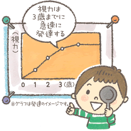視力は3歳までに急速に発達する。
