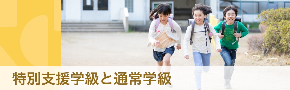 【体験談・専門家】発達障害と診断されたら　小学校は「特別支援学級」と「通常学級」どちらへ進むべき？ 