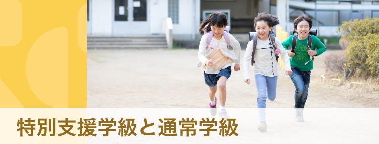【体験談・専門家】発達障害と診断されたら　小学校は「特別支援学級」と「通常学級」どちらへ進むべき？ 
