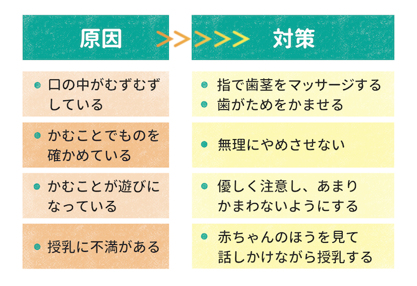 赤ちゃんがいろいろ噛んでしまう原因まとめ