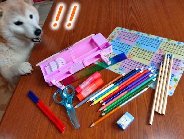 購入した文房具