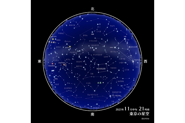 2025年11月中旬　21時頃　東京の星空