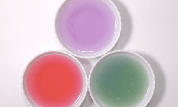 紫キャベツの「指示薬」で実験しよう